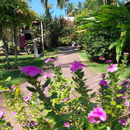 Hotel Casa Robinson Las Terrenas Exterior foto