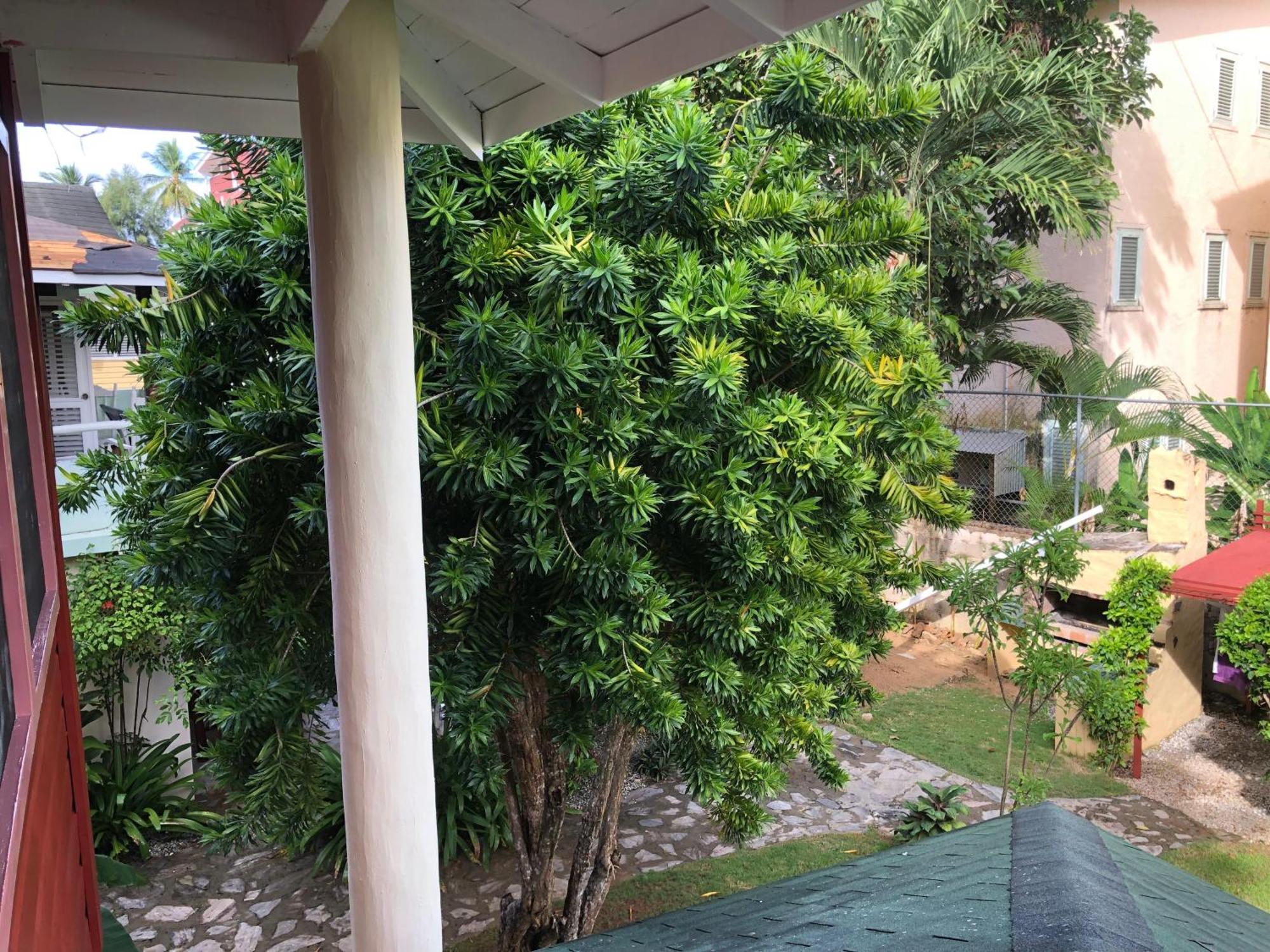 Hotel Casa Robinson Las Terrenas Exterior foto