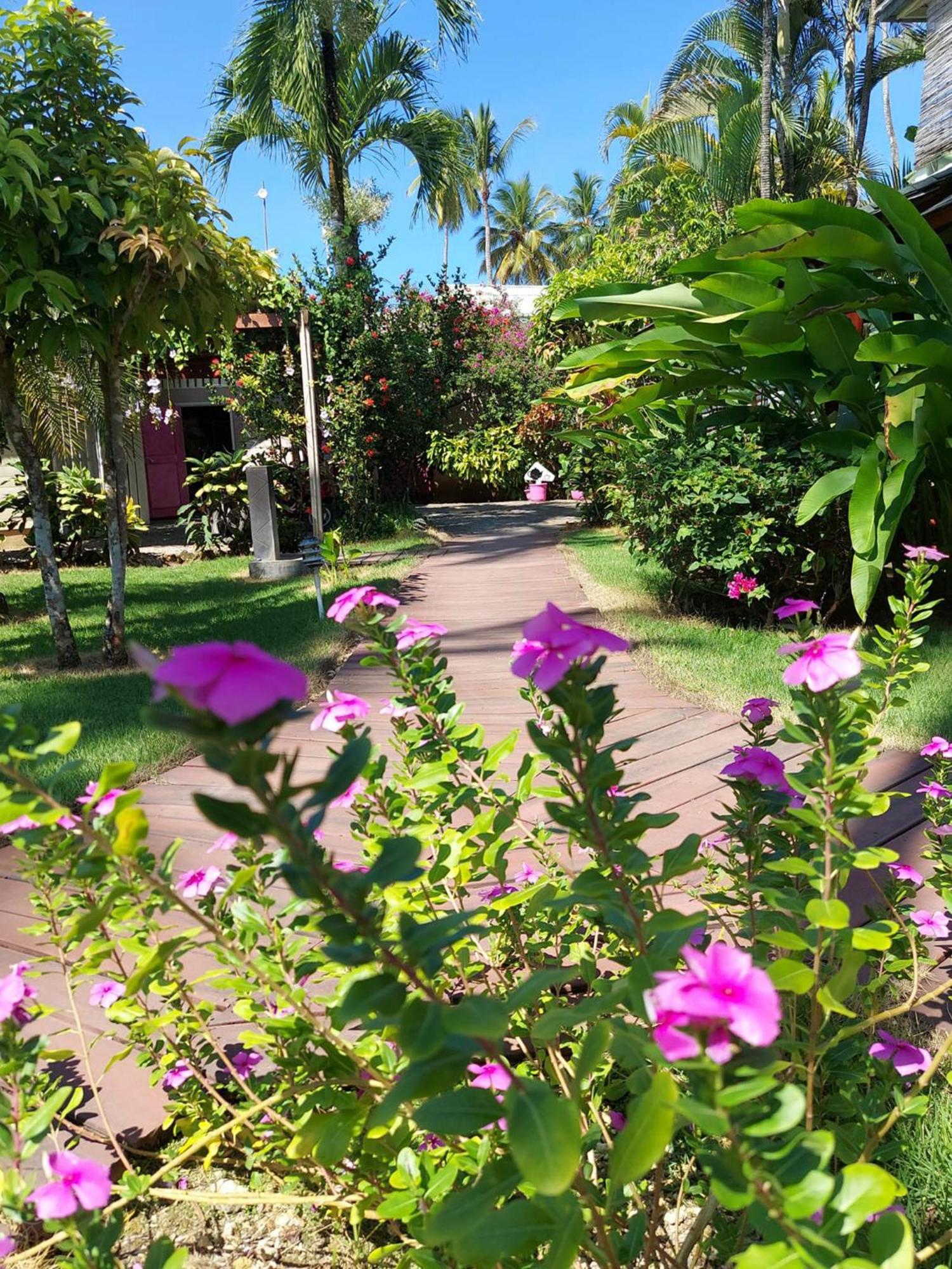 Hotel Casa Robinson Las Terrenas Exterior foto